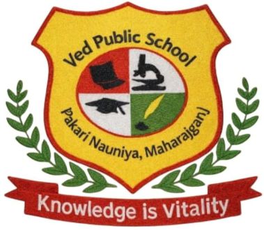 VED PUBLIC SCHOOL